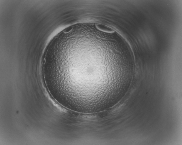 X0000077281053200610271453