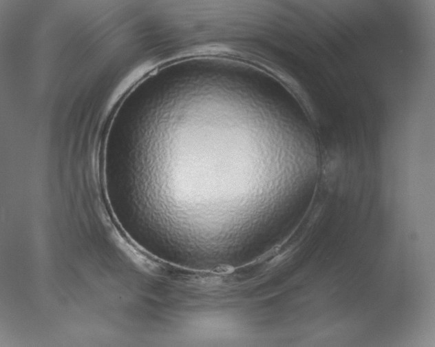 X0000077281054200610271453
