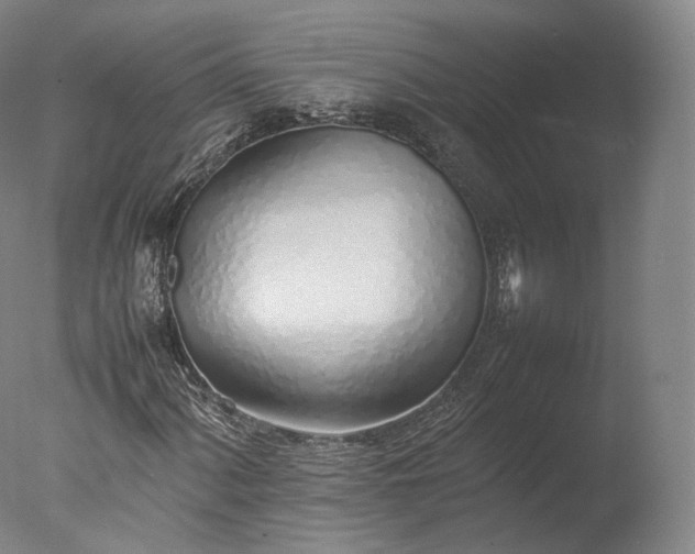 X0000077281060200610271453