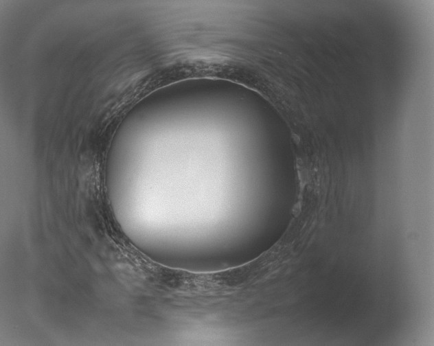 X0000077281061200610271453