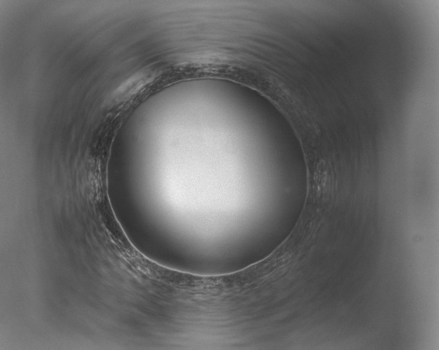 X0000077281062200610271453