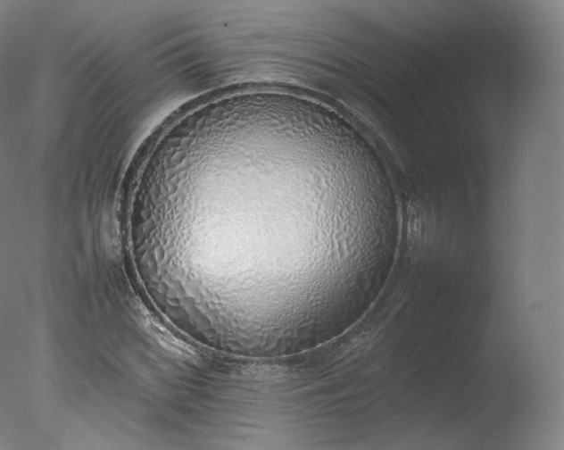 X0000077281068200610271453
