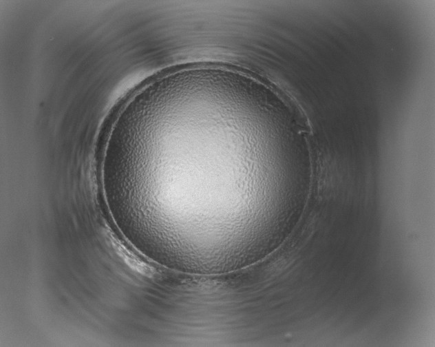 X0000077281072200610271452