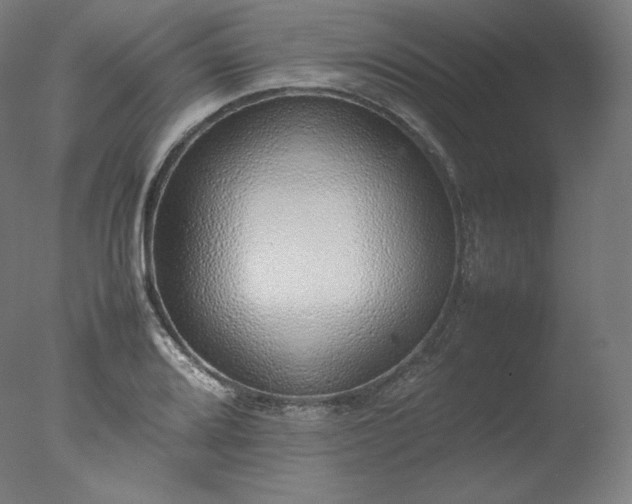 X0000077281080200610271452