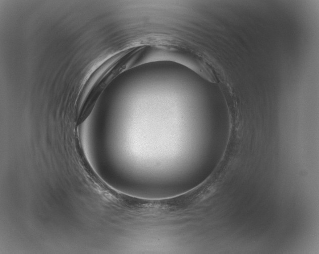 X0000077281081200610271452