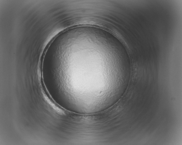 X0000077281084200610271452