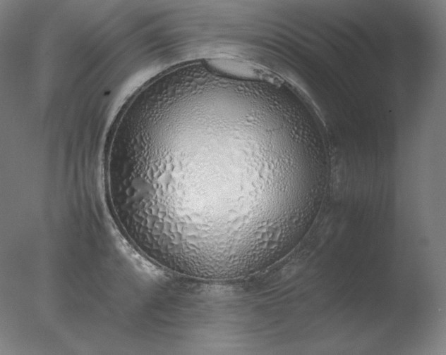 X0000077281088200610271452
