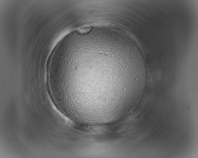 X0000077281095200610271452