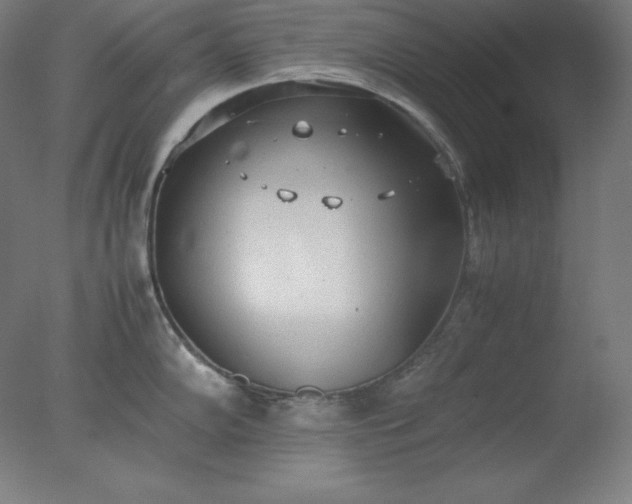 X0000077281102200610271452