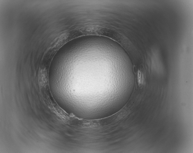 X0000077281107200610271451