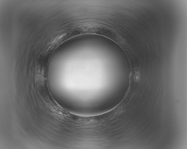 X0000077281108200610271451