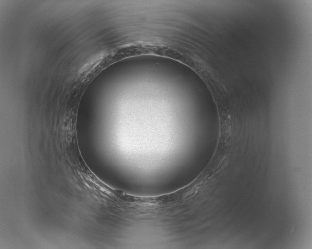 X0000077281110200610271451
