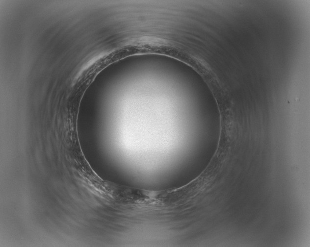 X0000077281112200610271451