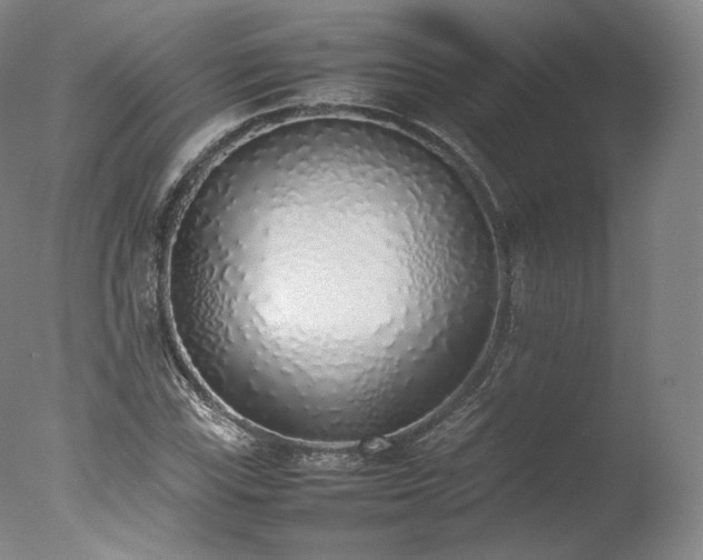 X0000077281115200610271451