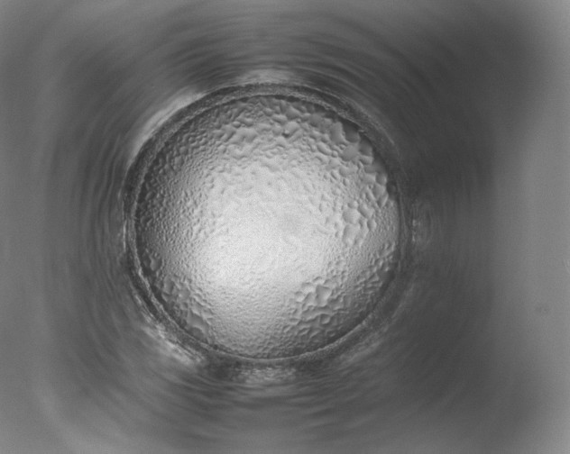 X0000077281117200610271451