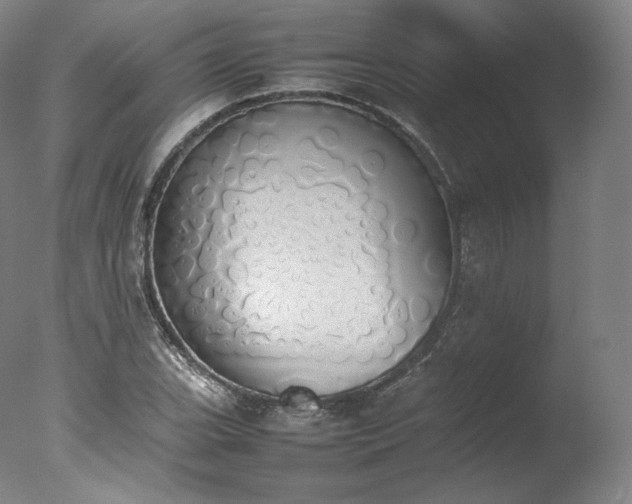 X0000077281119200610271451