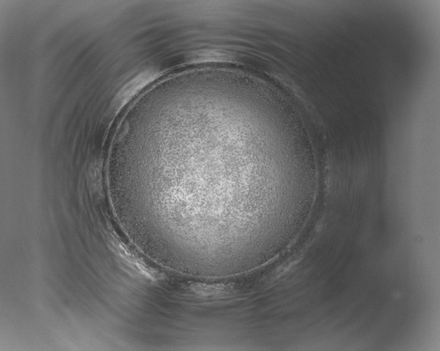 X0000077281121200610271451