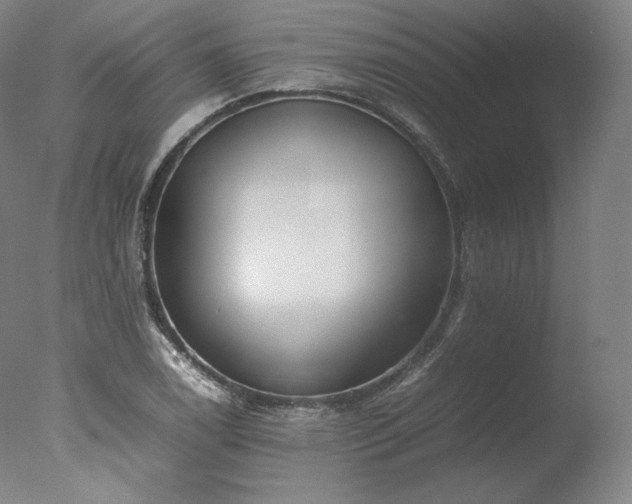 X0000077281122200610271451