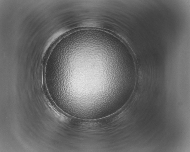 X0000077281123200610271451