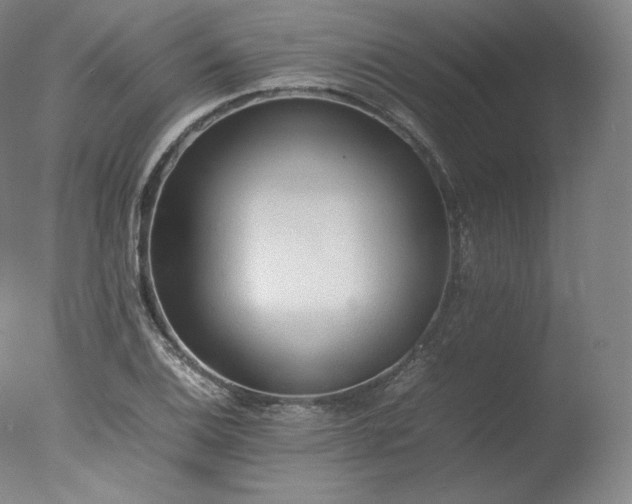 X0000077281124200610271451