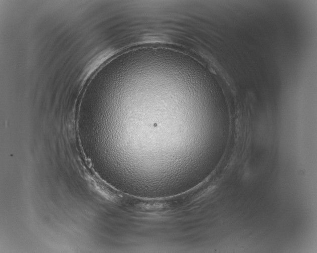X0000077281129200610271452