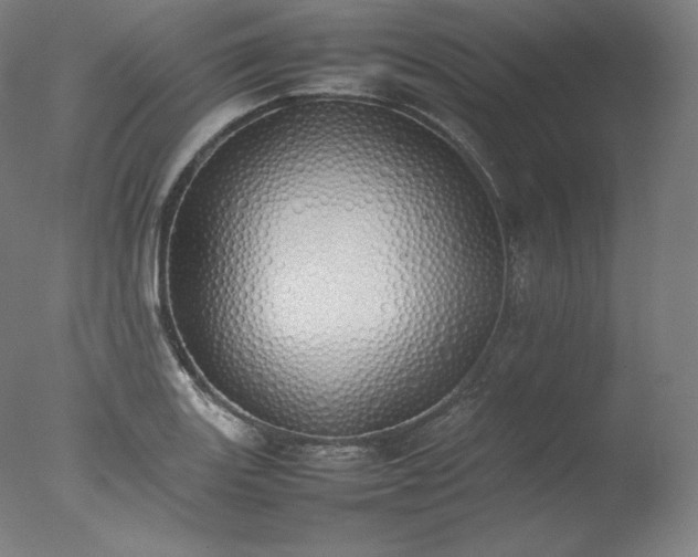 X0000077281131200610271452