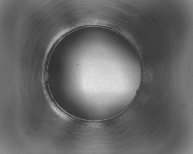 X0000077281136200610271452