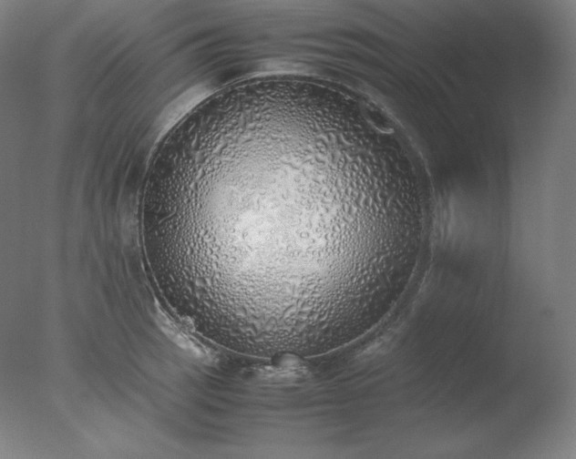X0000077281137200610271452