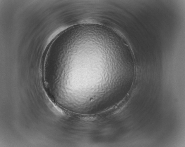 X0000077281141200610271452