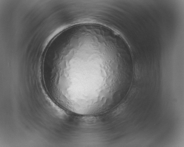 X0000077281142200610271452