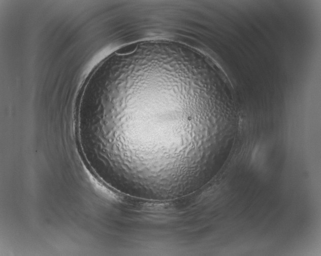 X0000077281143200610271452