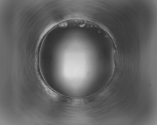 X0000077281144200610271452