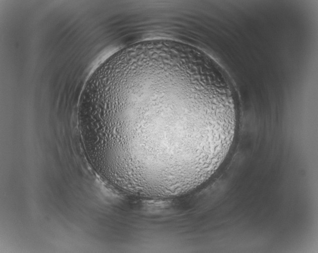 X0000077281145200610271452