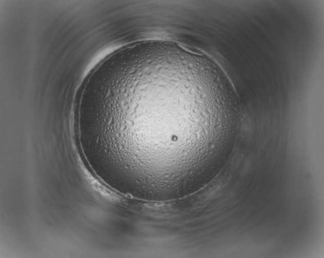 X0000077281147200610271452