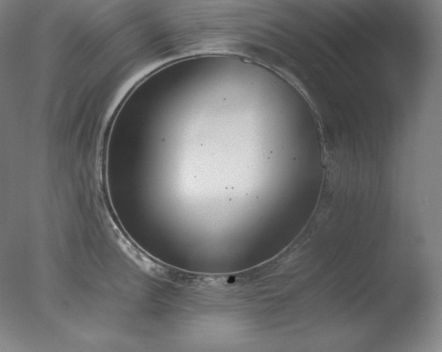 X0000077281148200610271452