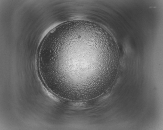 X0000077281149200610271452