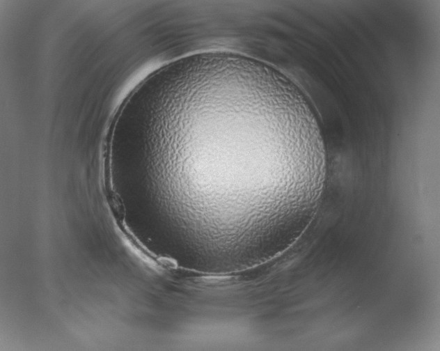 X0000077281151200610271452