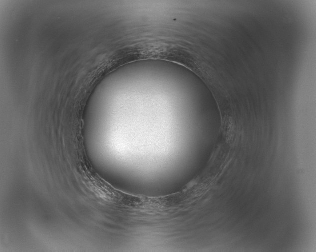 X0000077281153200610271451