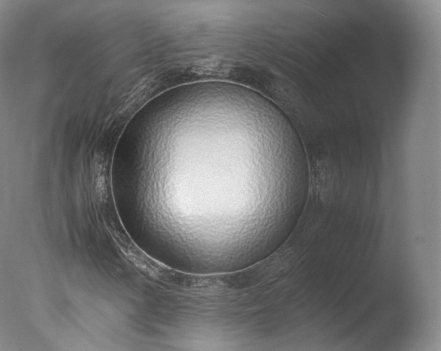 X0000077281154200610271451