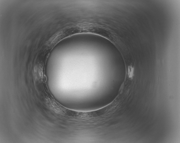 X0000077281155200610271451