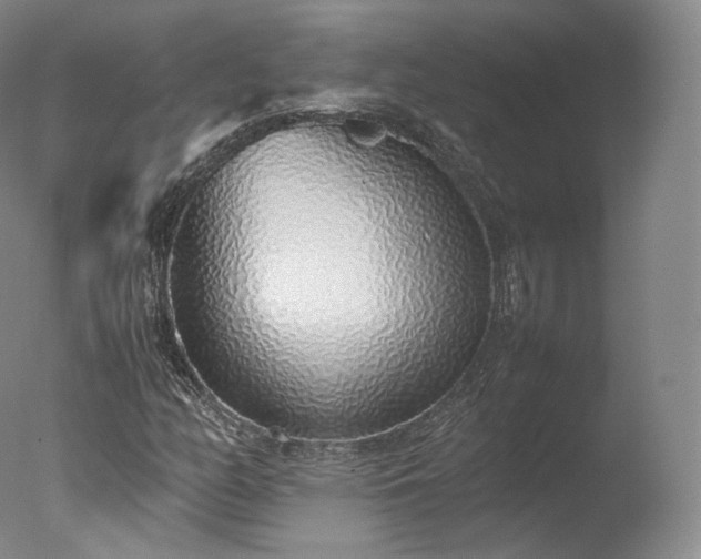 X0000077281158200610271451