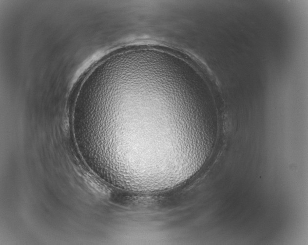 X0000077281167200610271451
