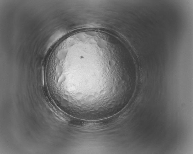 X0000077281171200610271451