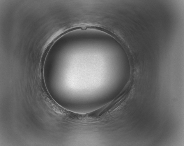 X0000077281173200610271451