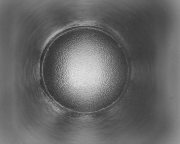 X0000077281174200610271451