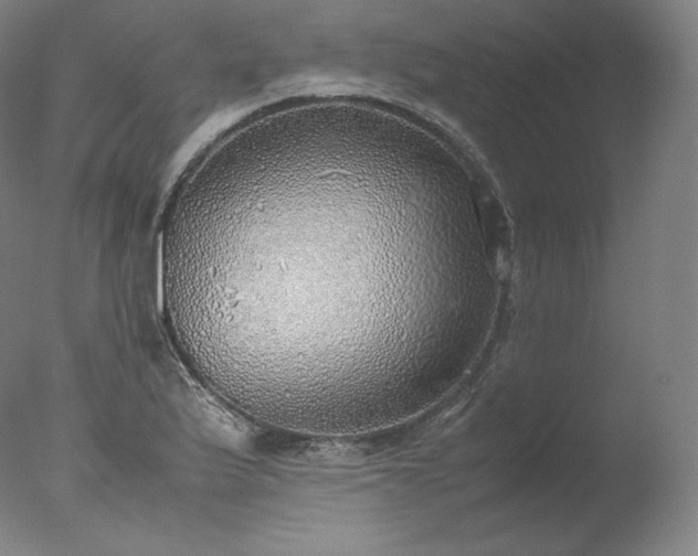 X0000077281175200610271451
