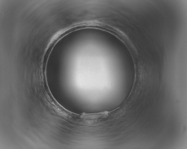 X0000077281176200610271451