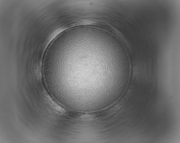 X0000077281178200610271451