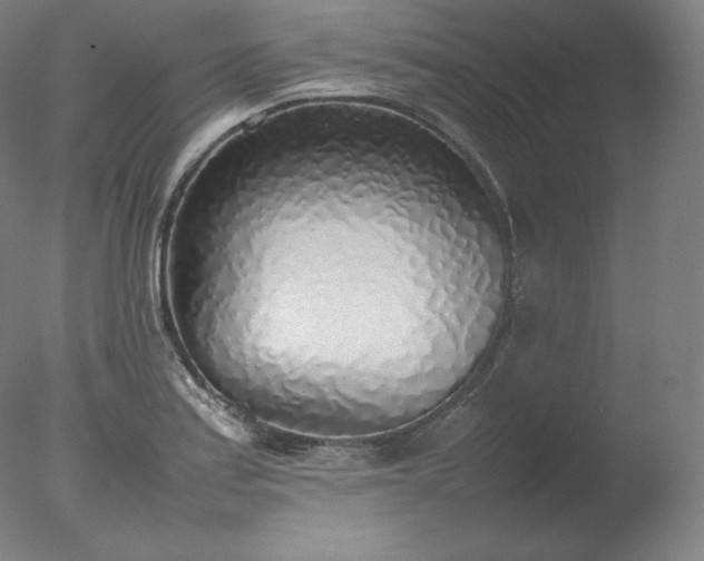 X0000077281179200610271451