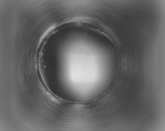 X0000077281180200610271451